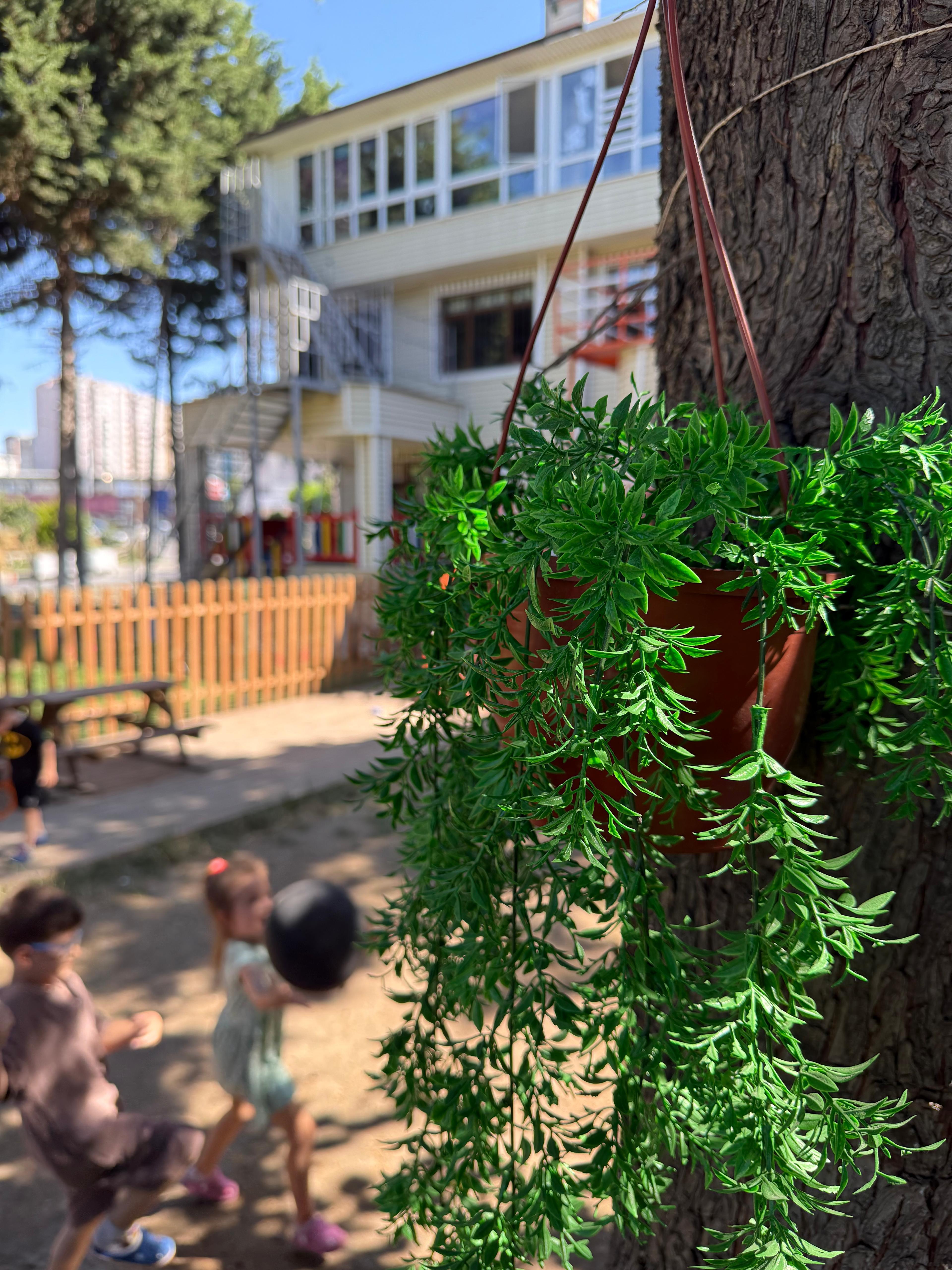 Özel Portakal Ağacı Anaokulu - Beylikdüzü - 5