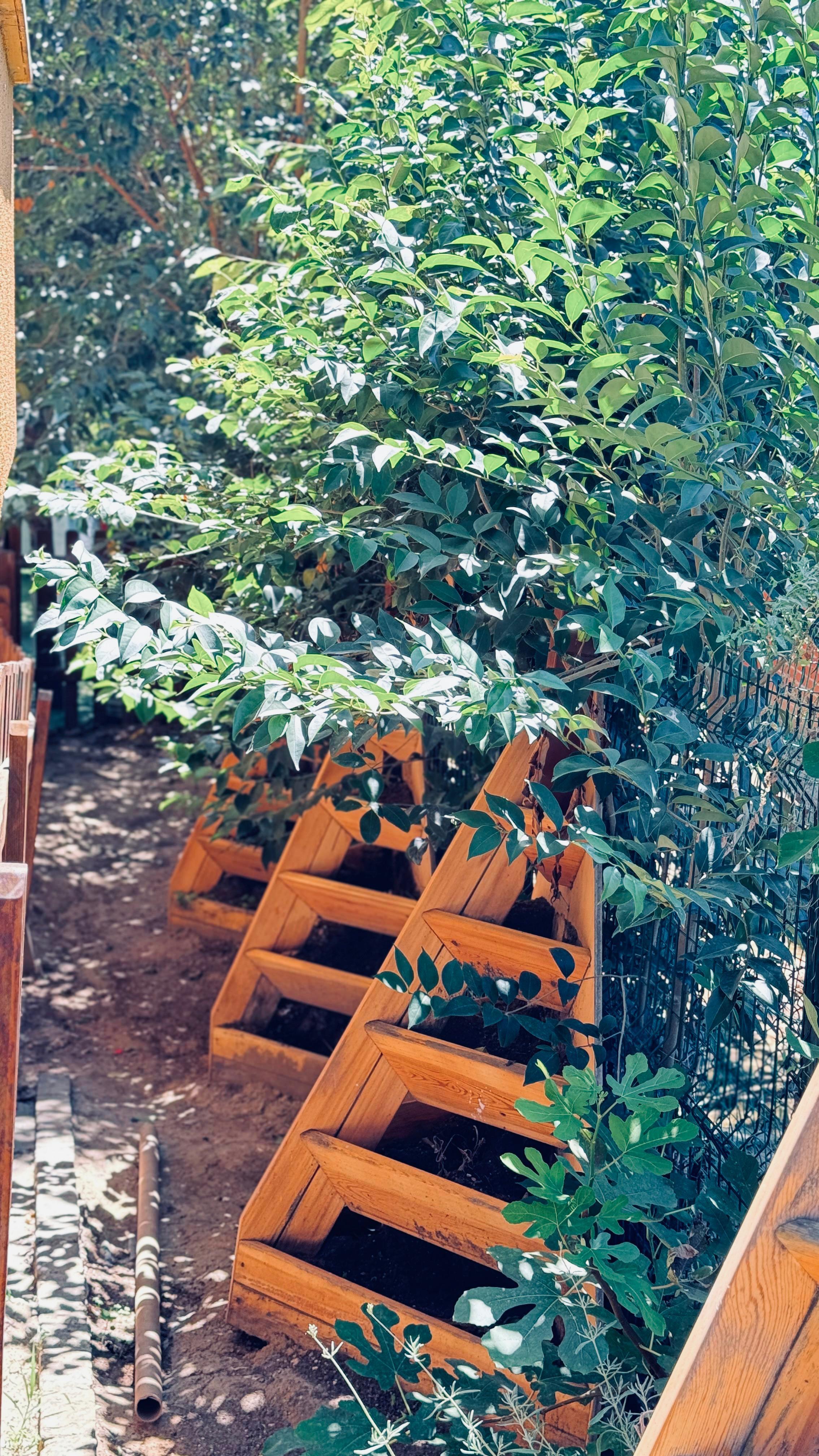 ÖZEL BAŞAKŞEHİR VERA ANAOKULU - Başakşehir - 1