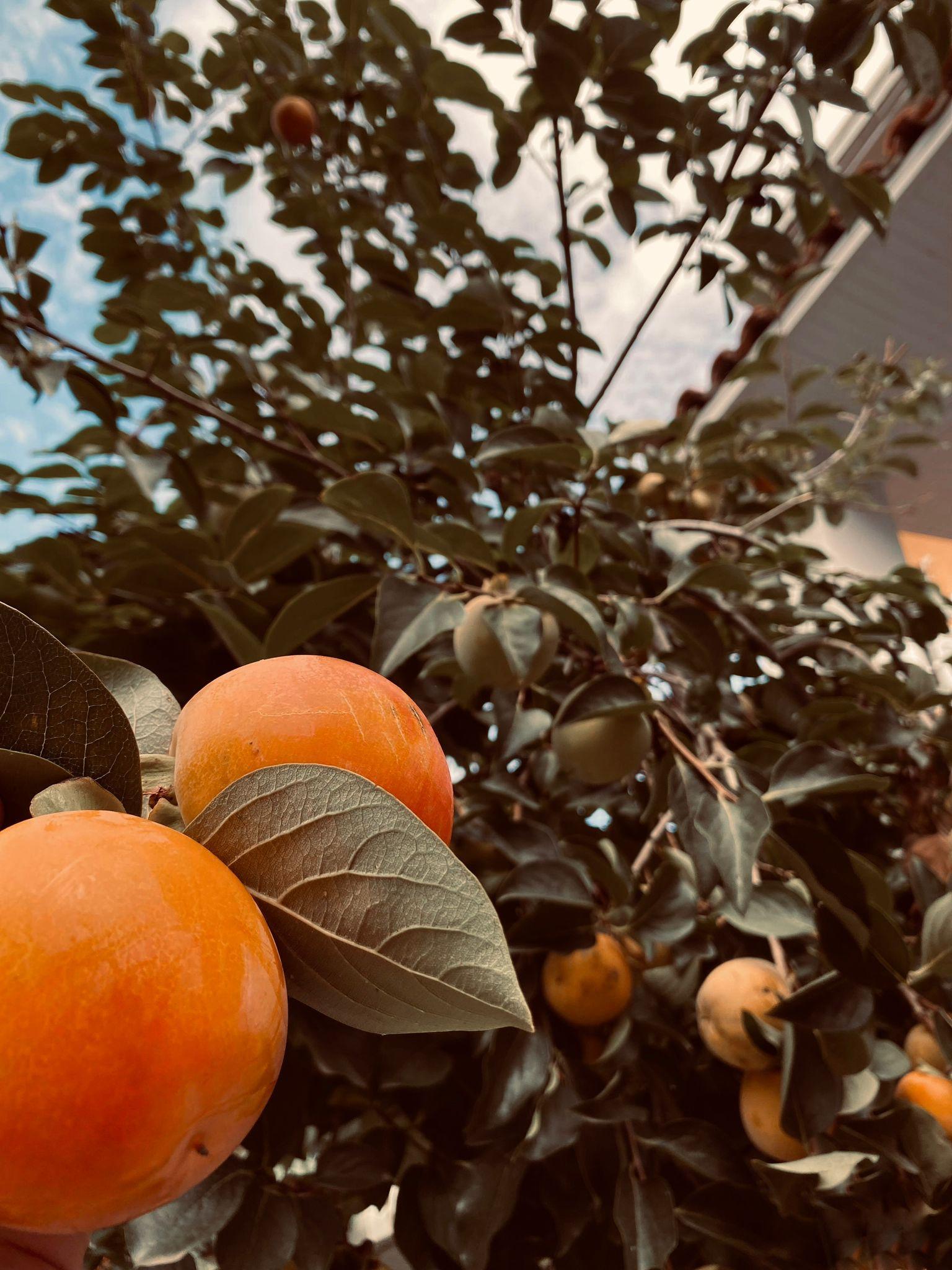 ÖZEL BAŞAKŞEHİR VERA ANAOKULU - Başakşehir - 4