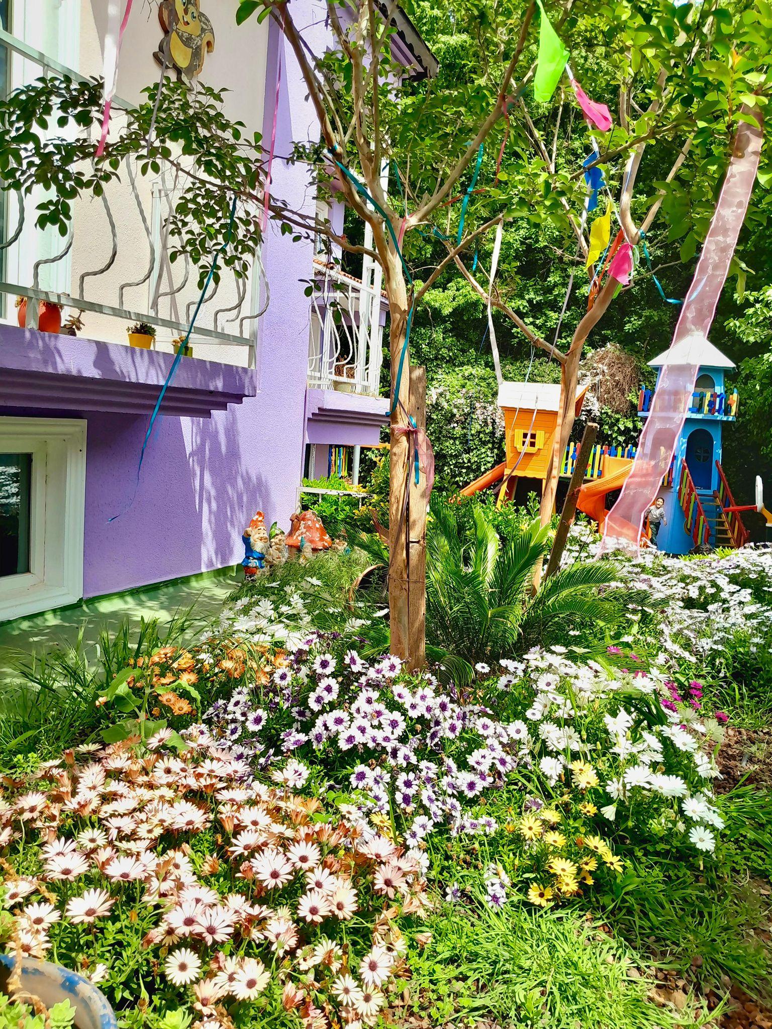 Çekmeköy Sihirli Orman Anaokulları - Çekmeköy - 7