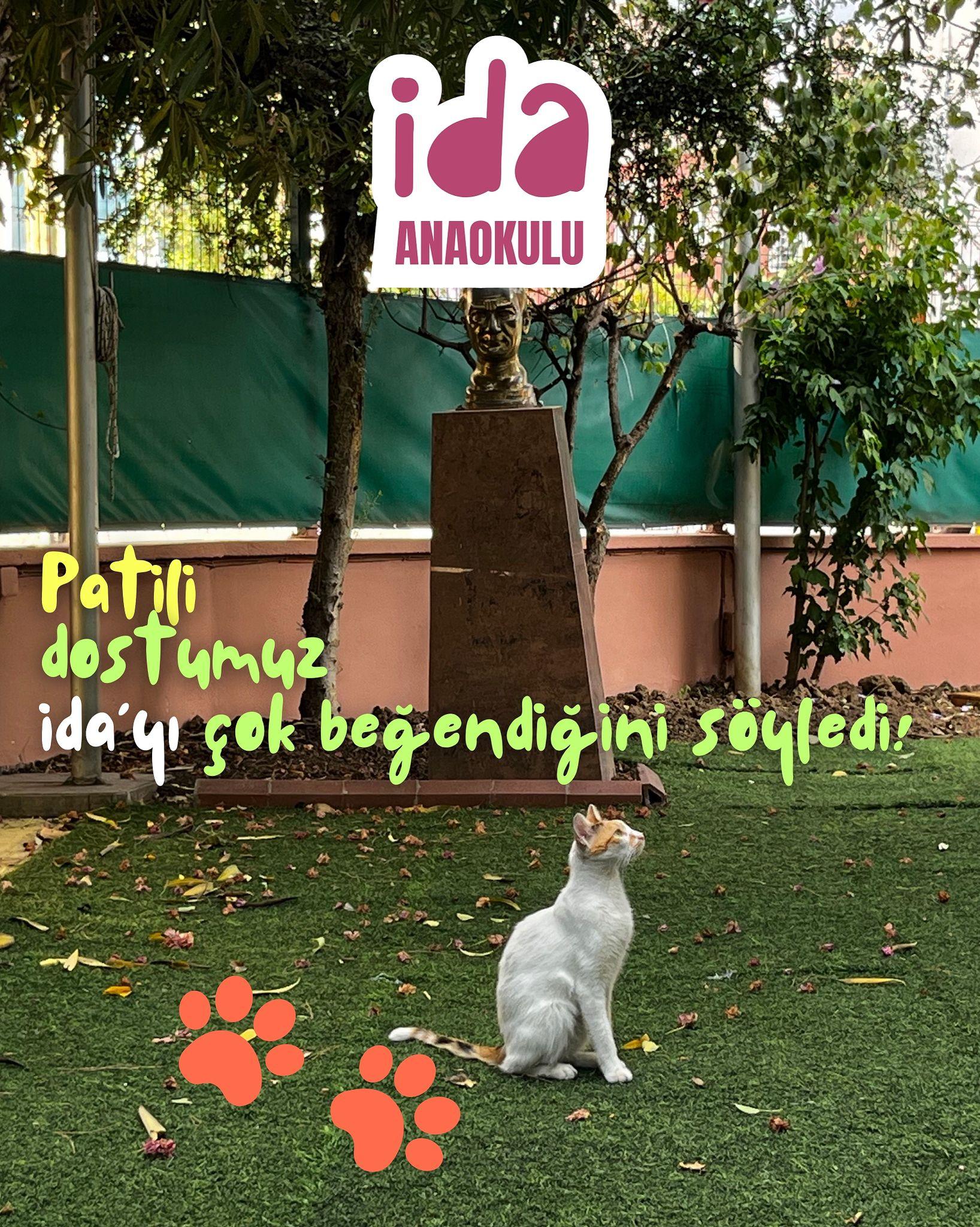 İda Anaokulu - Pendik - 2