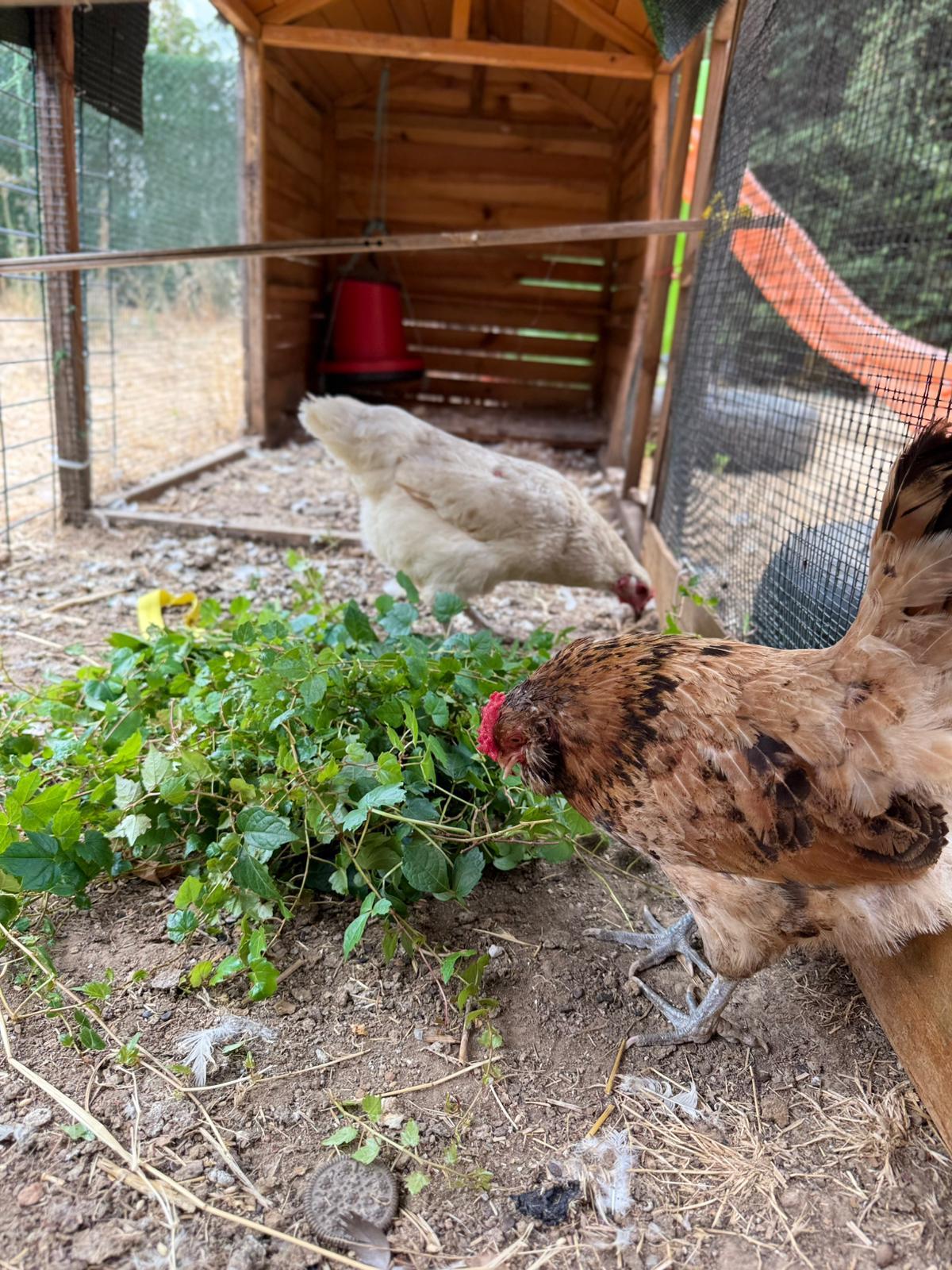 Özel Anka Anaokulu - Ümraniye - 5